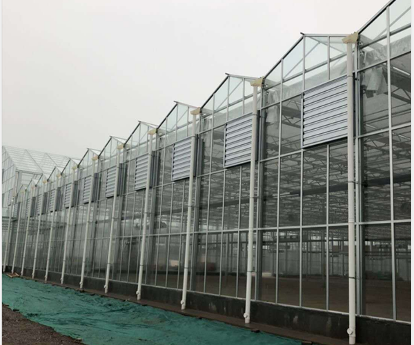 solar glass for greenhouse