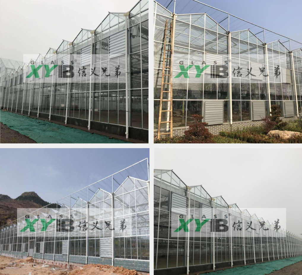 Tempered greenhouse glass