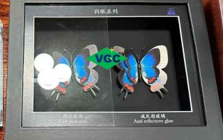 Museum Glass AR Glass
