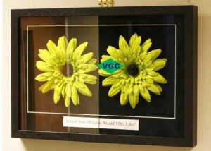AR Glass for Picture Framing