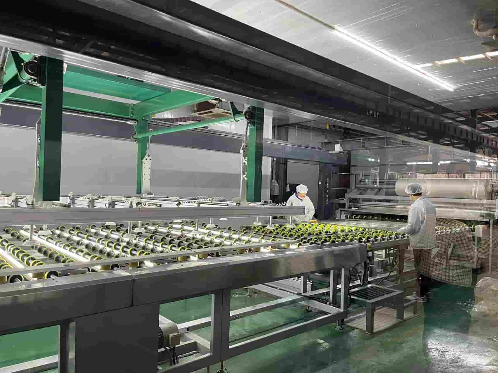 laminated glass line2 laminated glass line2