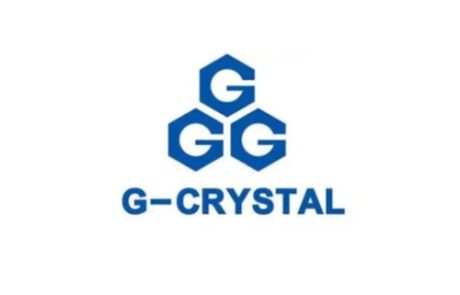 GGG-VGC PARTNER
