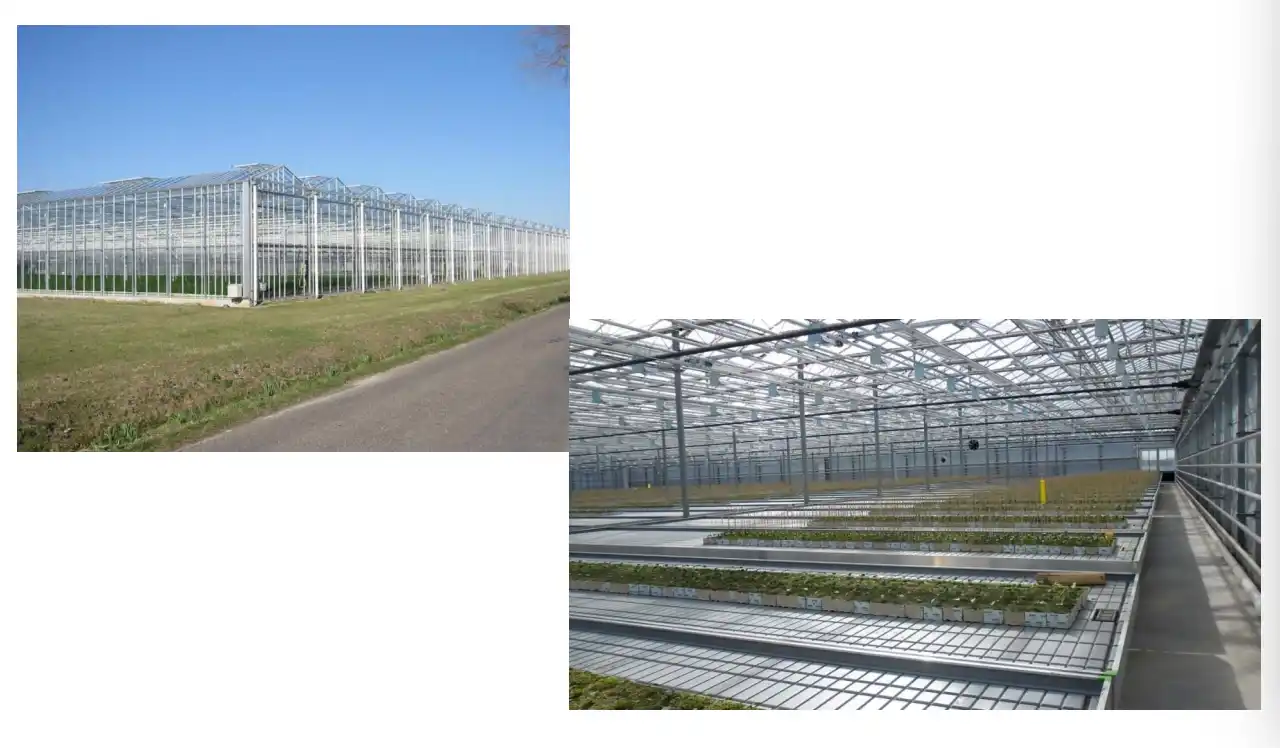 Diffused Greenhouse Glass Project Cases China Factory