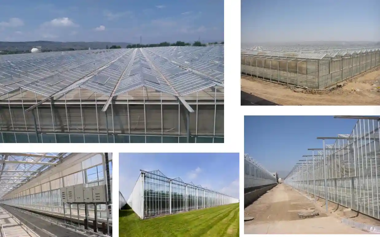 VGC Greenhouse Glazing Real Project References