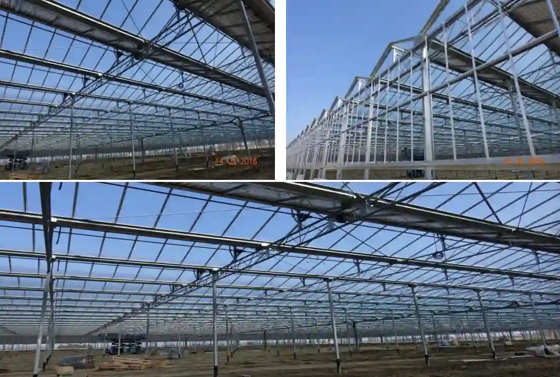 VGC Tomato greenhouse diffused glass project case (2)