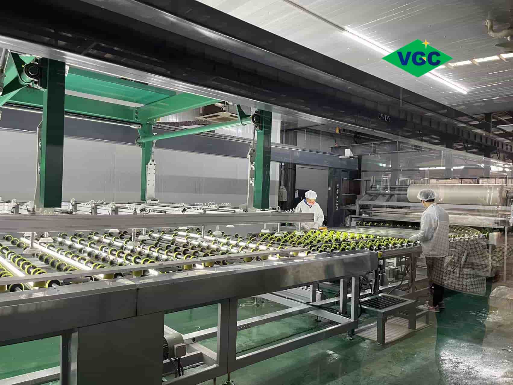 laminated glass producing laminated glass producing